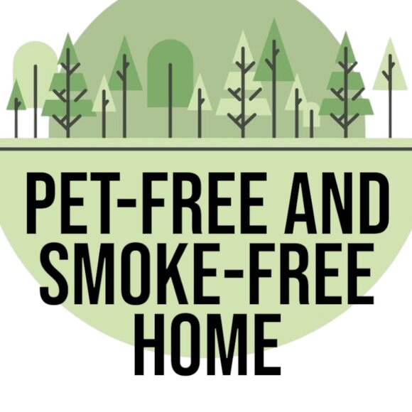 NEW Honey Bear Bottle Plush Valentine's Day Gift Beekeeping Beekeeper Bees Honey - Picture 9 of 9